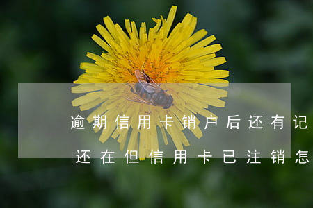 逾期信用卡销户后还有记录吗(征信逾期记录还在,但信用卡已注销怎么办?)