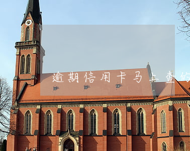 逾期信用卡马上查的到吗