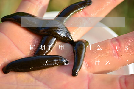 逾期信用記錄什么時(shí)候消除（逾期還款失信記錄什么時(shí)候消除）