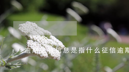 逾期信貸信息是指什么(征信逾期是指)
