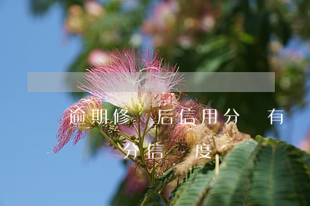 逾期修復后信用分會有變化嗎（信用卡逾期天會減分信譽度嗎）
