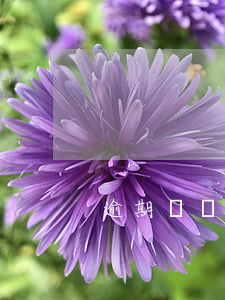 逾期倆個(gè)月了上征信了怎么辦