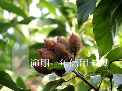 逾期倆年信用卡算幾手-逾期倆年信用卡算幾手