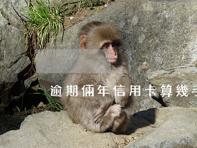 逾期倆年信用卡算幾手(信用卡逾期多少利息)