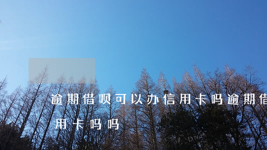 逾期借呗可以办信用卡吗(逾期借呗可以办信用卡吗吗)