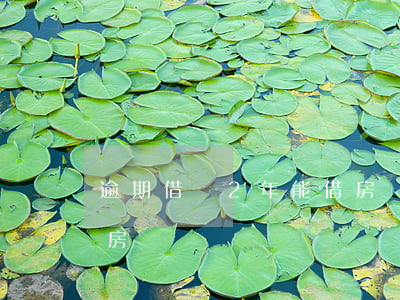 逾期借唄2年能借房貸嗎(逾期借唄2年能借房貸嗎)