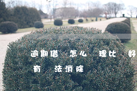 逾期借唄怎么處理比較好(借唄逾期記錄有沒有辦法消除)