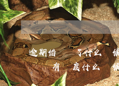 逾期借唄沒了什么時候能再開通-逾期后借唄沒有額度,什么時候可以有額度