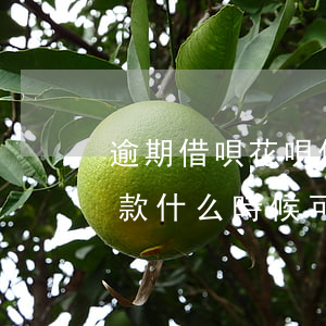 逾期借唄花唄什么時候能用(花唄借唄逾期還款 什么時候可以再用)