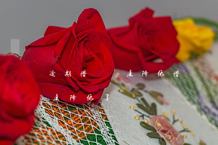 逾期借唄額度降低(借唄沒有逾期還款以后額度降低了)