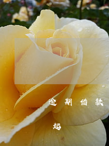 逾期借款利息起訴有期限(利息逾期多久可以起訴)