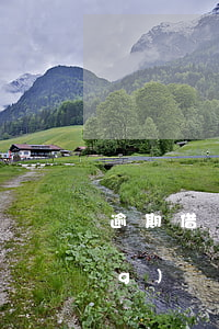 逾期借網(wǎng)貸-逾期 網(wǎng)貸
