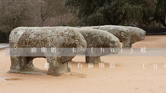逾期借記卡會(huì)被凍結(jié)嗎(借記卡有逾期影響個(gè)人征信嗎?)