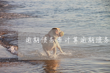 逾期债务率计算(逾期债务率计算方式)