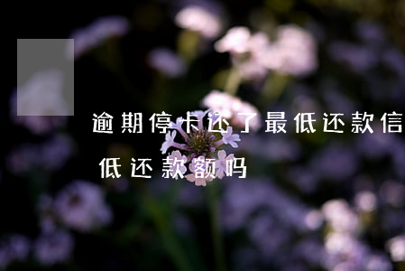 逾期停卡还了最低还款(信用卡停用可以还最低还款额吗)
