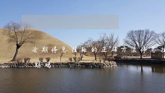 逾期停息挂账的正确方法(停息挂账必须要逾期吗)