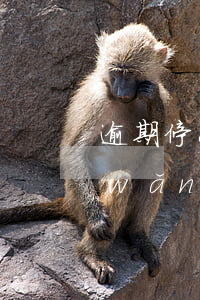 逾期停息掛賬方法-逾期停息掛賬方法網(wǎng)貸