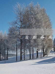 逾期停用的信用卡怎么恢復(fù)（信用卡嚴(yán)重逾期多久恢復(fù)）