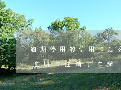 逾期停用的信用卡怎么恢復(fù)（信用卡逾期卡注銷了咋辦）