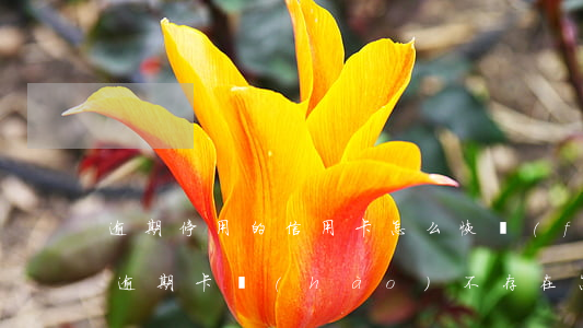 逾期停用的信用卡怎么恢復(fù)（信用卡逾期卡號(hào)不存在怎么恢復(fù)）