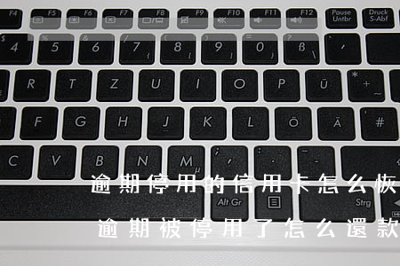 逾期停用的信用卡怎么恢復(fù)（信用卡逾期被停用了怎么還款）