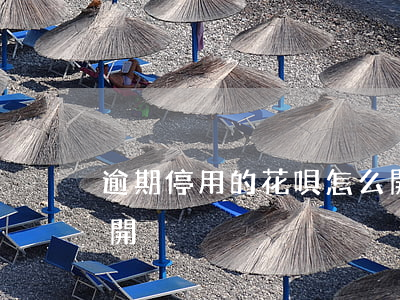 逾期停用的花唄怎么開(逾期停用的花唄怎么開)