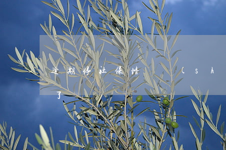 逾期停社保情況說(shuō)明(社保逾期了)
