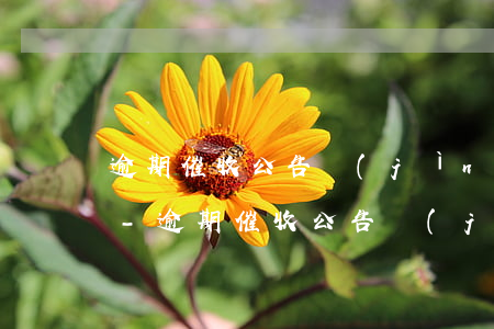 逾期催收公告進(jìn)了百度會怎么樣-逾期催收公告進(jìn)了百度會怎么樣嗎
