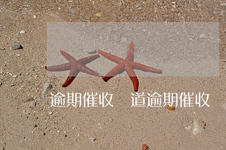 逾期催收報道(逾期催收報道材料)