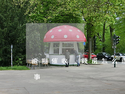 逾期催收沒錢還怎么辦(逾期沒有催收怎么回事)