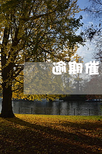 逾期催款函范文（信用卡逾期催款函內容）