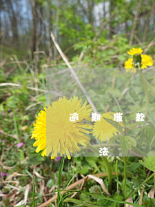 逾期催款和不良貸款處置(不良貸款催收管理辦法)