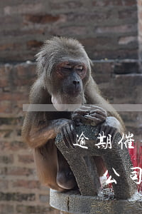 逾期催賬公司把我信息傳播給他人-逾期催賬公司把我信息傳播給他人違法嗎