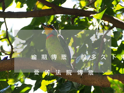 逾期傳票一般多久下來(lái)（逾期多久要等法院傳票）