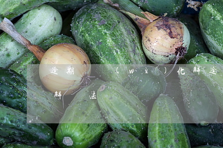 逾期債務(wù)化解(逾期債務(wù)化解辦法)
