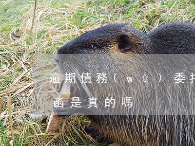 逾期債務(wù)委托律師靠譜嗎(逾期律師函是真的嗎)