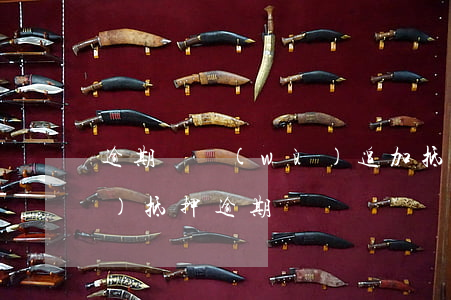 逾期債務(wù)追加抵押 房產(chǎn)抵押逾期