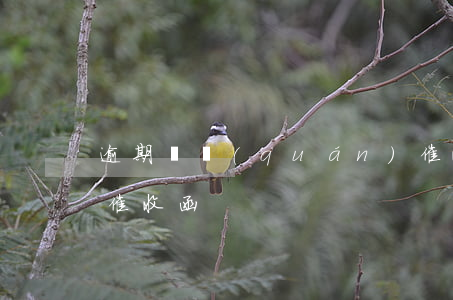 逾期債權(quán)催收函(債務(wù)催收函)