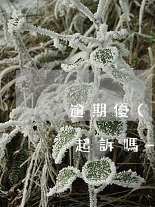 逾期優(yōu)億1000會(huì)起訴嗎-優(yōu)億金融法院起訴我