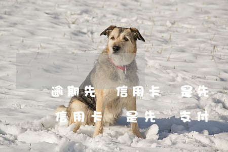 逾期先還信用卡還是先還支付寶-逾期先還信用卡還是先還支付寶