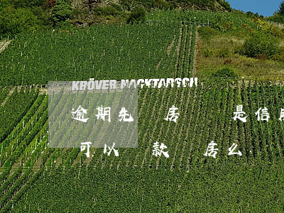 逾期先還房貸還是信用卡(信用卡逾期還完了可以貸款買房么)
