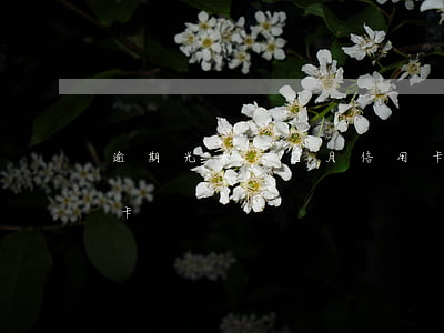 逾期光大6個月信用卡 逾期光大6個月信用卡