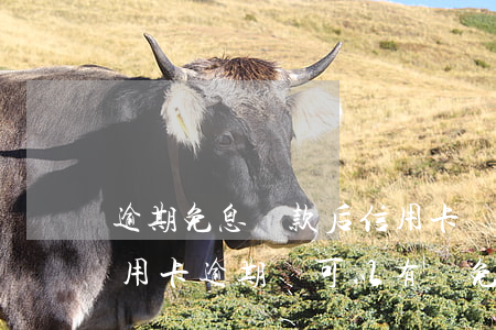 逾期免息還款后信用卡還能使用嗎(為什么信用卡逾期還可以有減免)