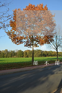 逾期免檢會(huì)被查出嗎(免檢逾期還能不能申領(lǐng)免檢標(biāo)志)