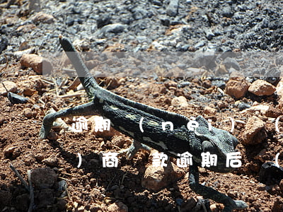 逾期內(nèi)達(dá)成協(xié)商還款(逾期后協(xié)商還款,還算逾期嗎)