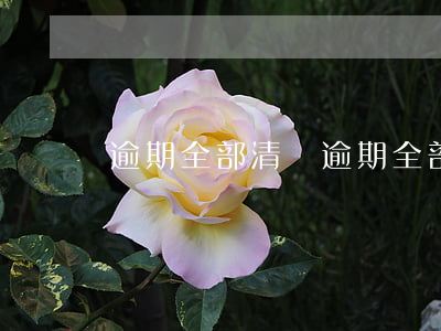逾期全部清還(逾期全部清還)