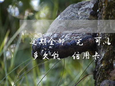 逾期全部還完還可以辦信用卡嗎(逾期還完后多久能辦信用卡)
