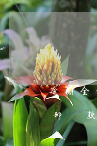 逾期全部還款后幾年后可以貸款嗎-逾期全部還款后幾年后可以貸款嗎知乎