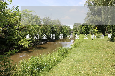 逾期全額還款怎么辦(逾期全額還款怎么辦)