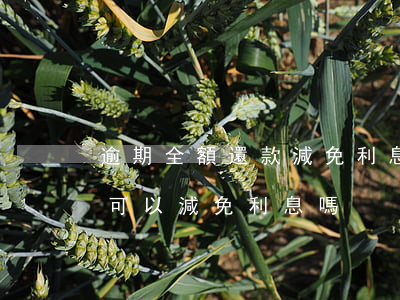 逾期全額還款減免利息(信用卡逾期全額還款可以減免利息嗎)